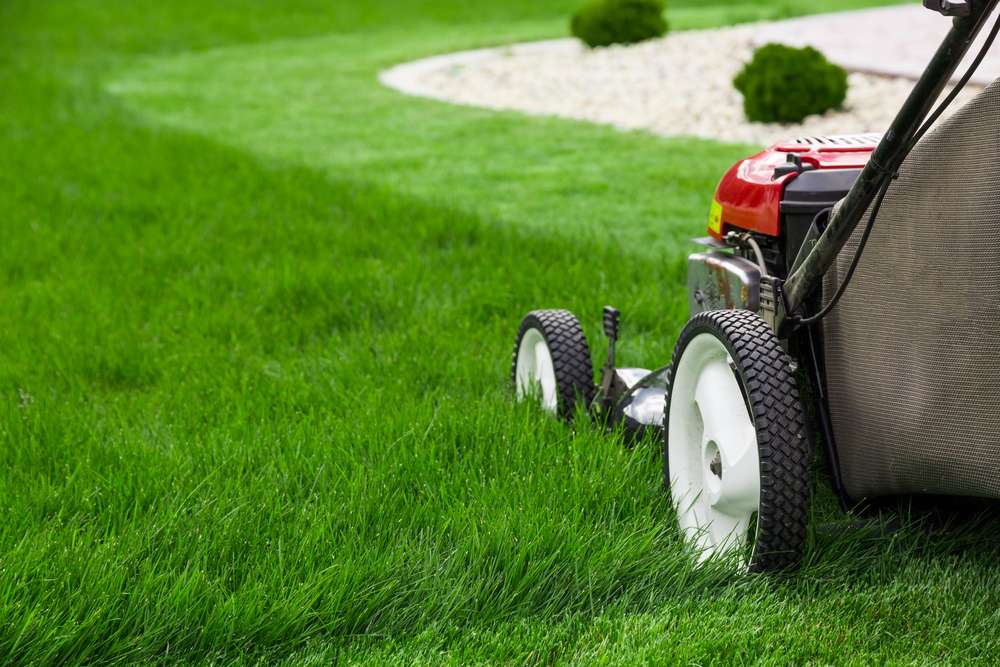 A lawn mower on natural grass