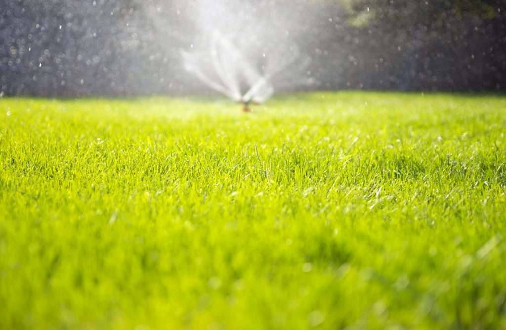 47860494 - watering the garden