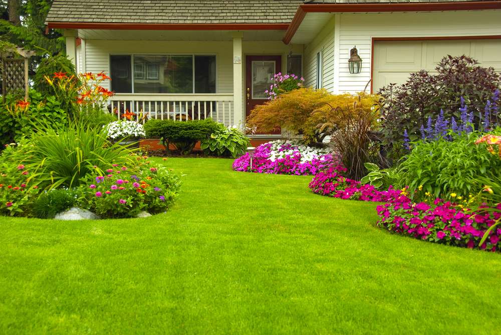 Your-Guide-to-Summer-Lawn-Maintenance