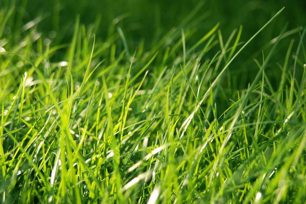 How to Keep Your Summer Water Bill in Check