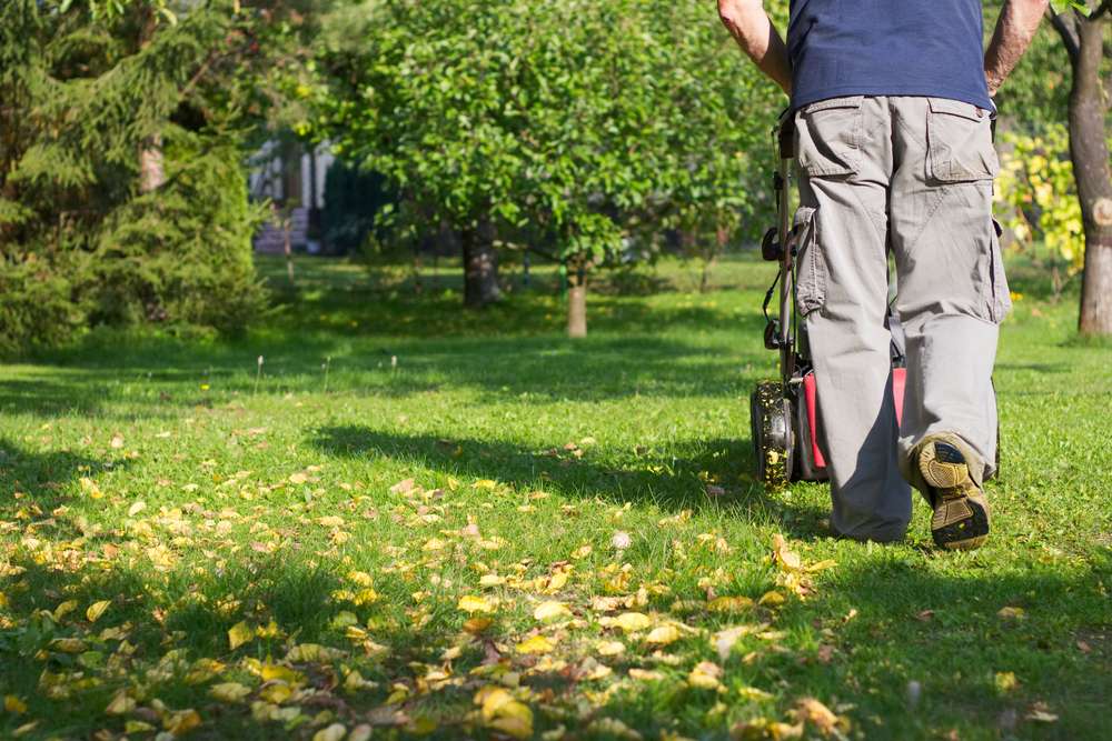 How You Can Achieve a Less-Maintenance Lawn