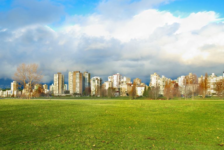 Grass Seed Manderley Turf Products