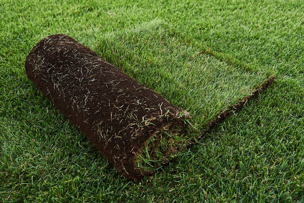 Gazon en plaque en Vente Brossard Produits Gazon Manderley