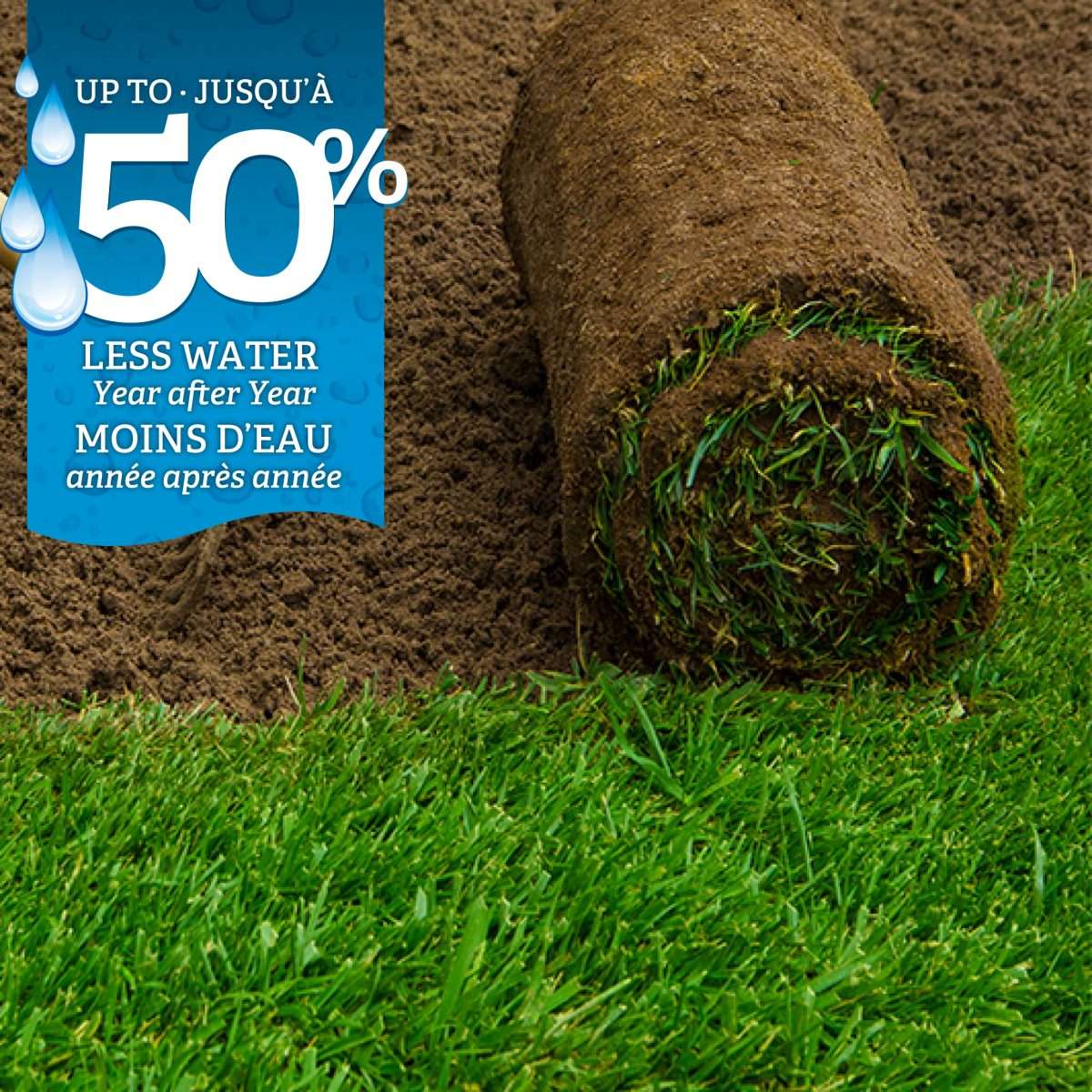 EAST Less Water Sod