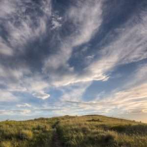 Manderley Rocky Mountain Naturalization Sod
