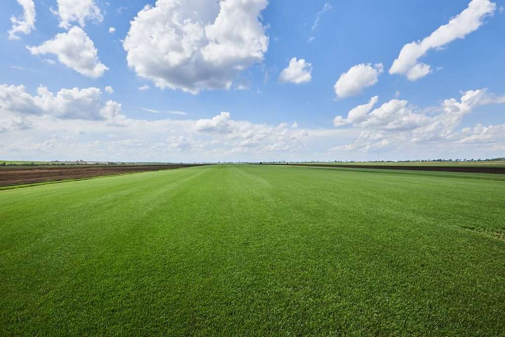 Manderley Turf Products Natural Sod Farm
