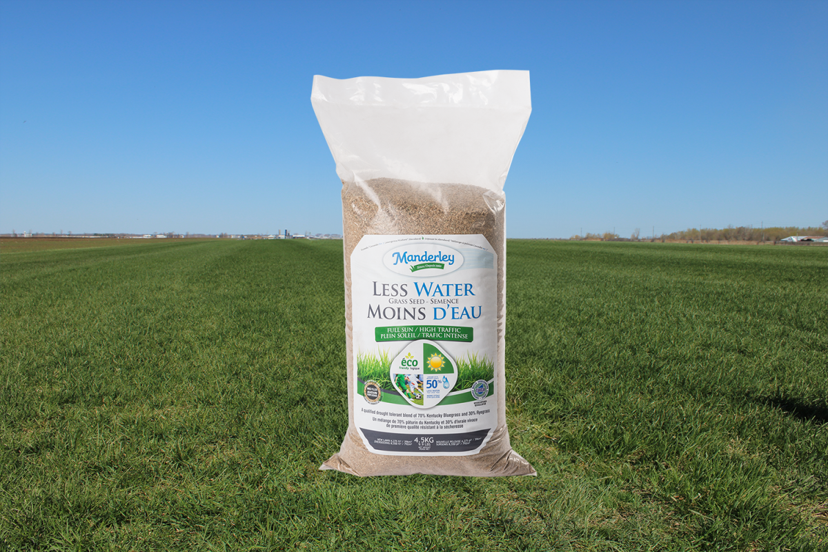 Seed (4.5KG)-LW Full Sun/High Traffic