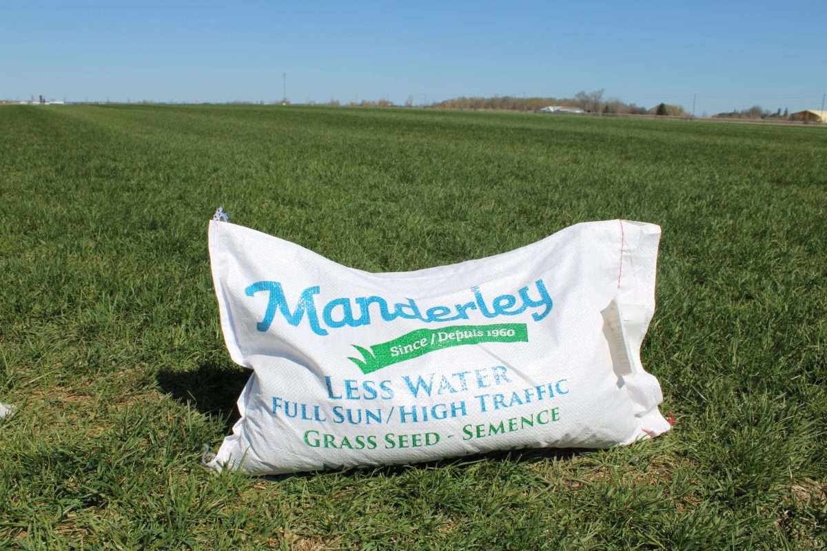 Seed (11.4 KG)-LW Full Sun/High Traffic
