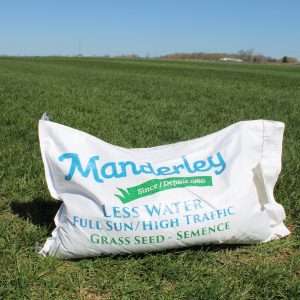 Seed (11.4 KG)-LW Full Sun/High Traffic