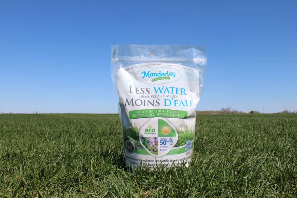 Manderley Less Water Full Sun High Traffic Grass Seed