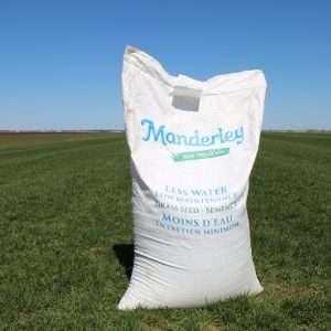 Manderley Less Water Low Maintenance Grass Seed