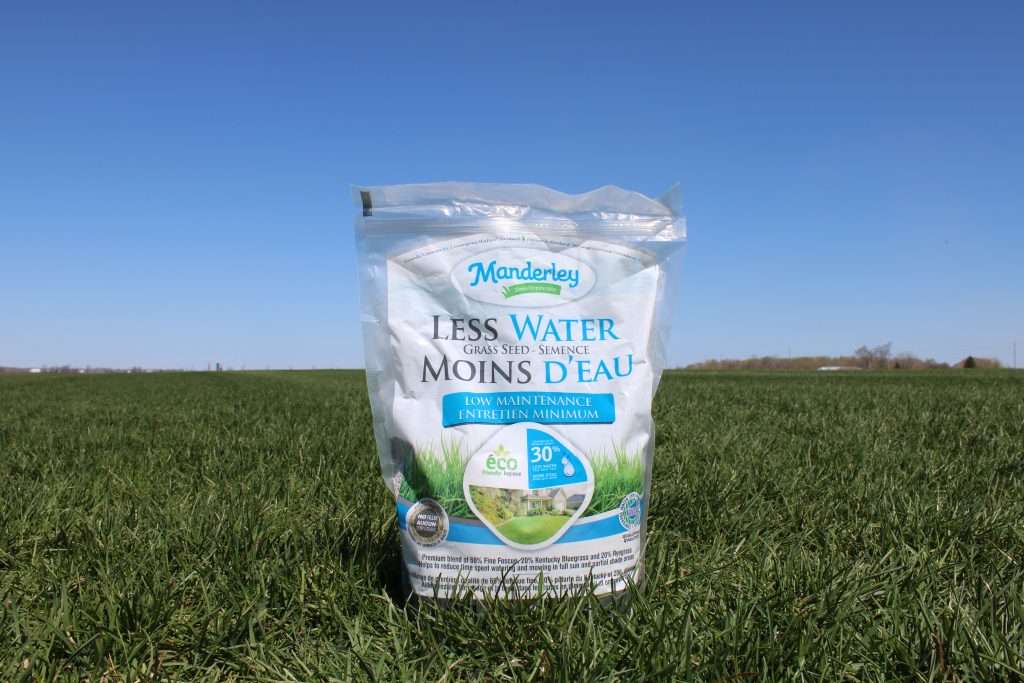 Manderley Less Water Low Maintenance Grass Seed
