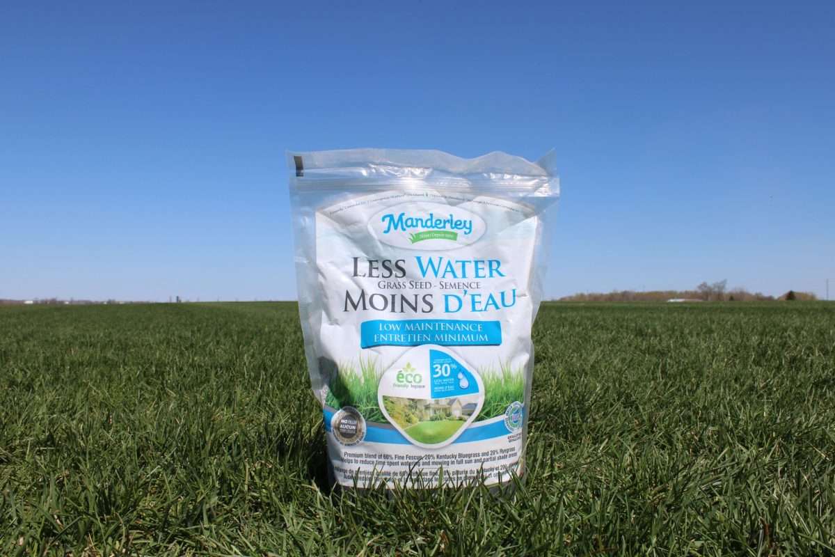 Manderley Less Water Low Maintenance Grass Seed
