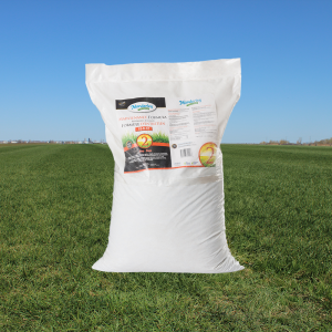 Fert (20KG) - Maintenace Formula - Step 2