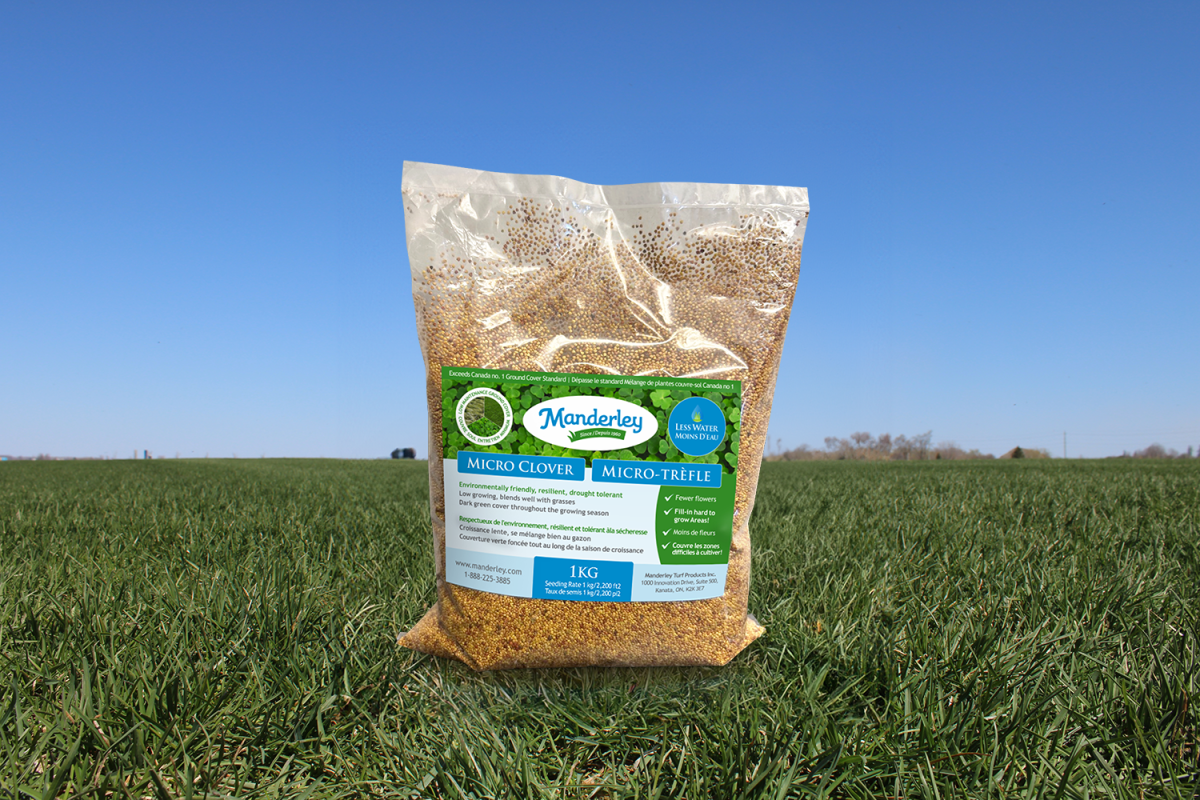 Manderley 1KG Micro Clover Seed