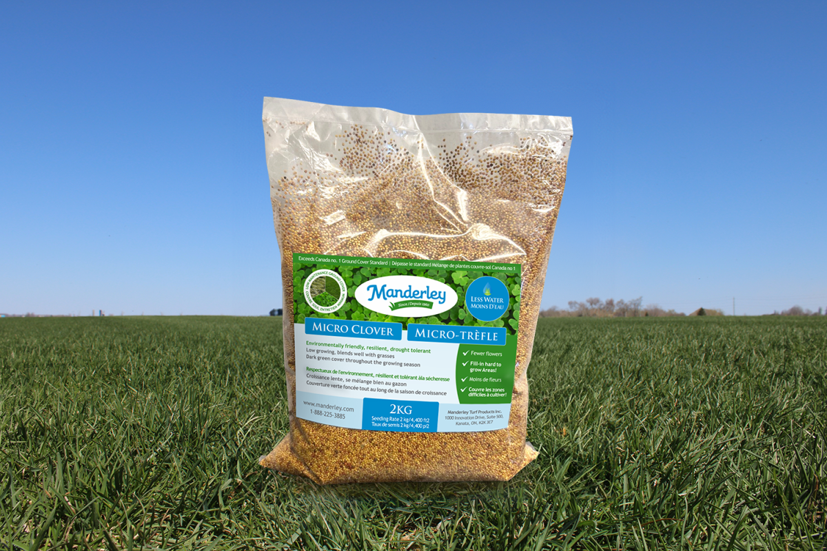 Manderley 2KG Micro Clover Seed