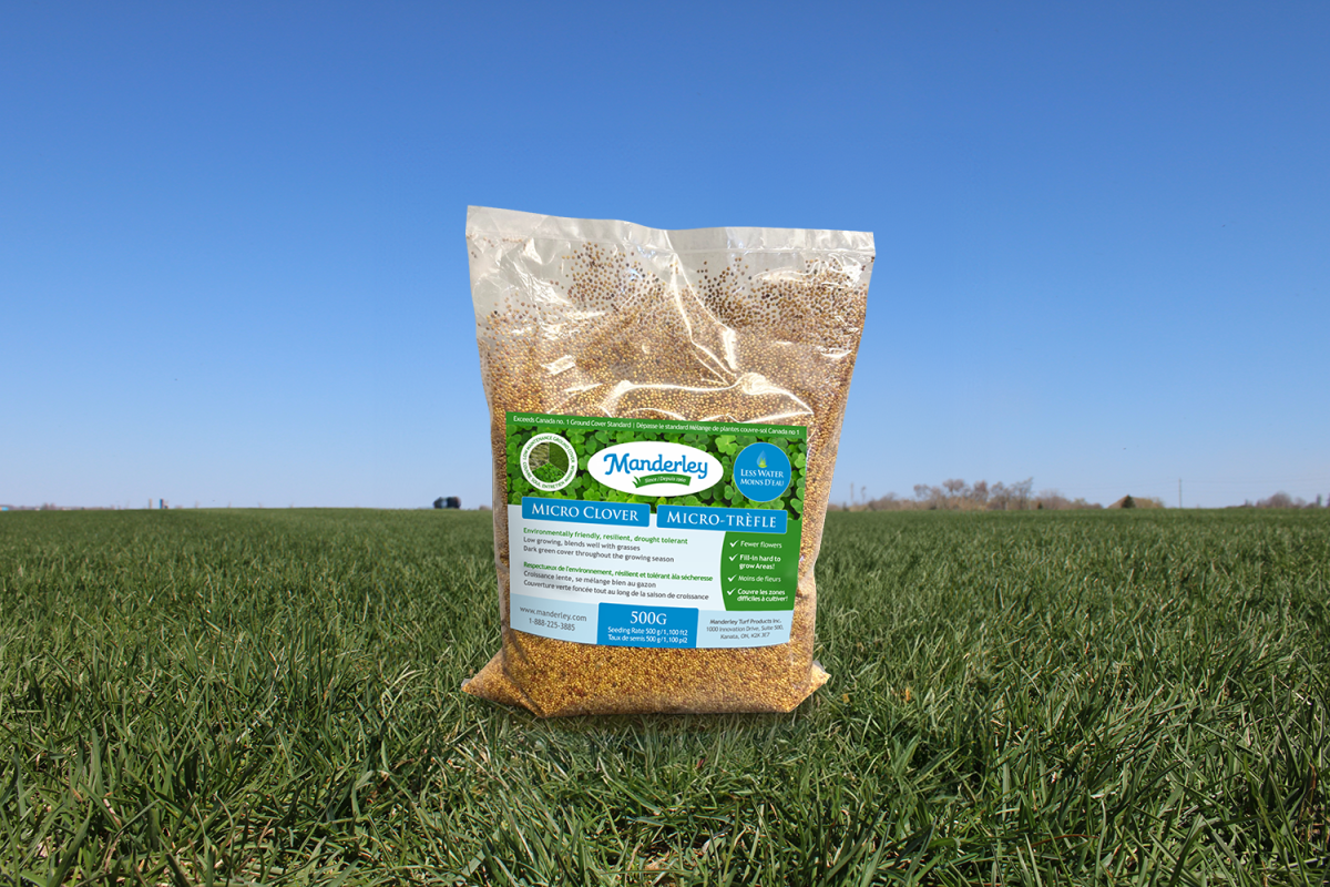 Micro Clover Seed 500g
