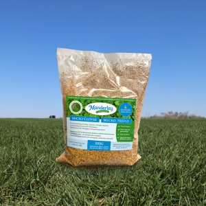 Micro Clover Seed 500g