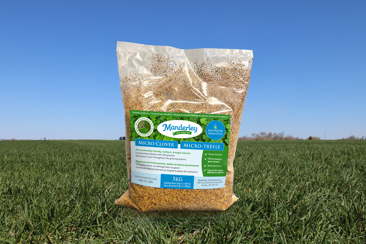 Manderley 5KG Micro Clover Seed