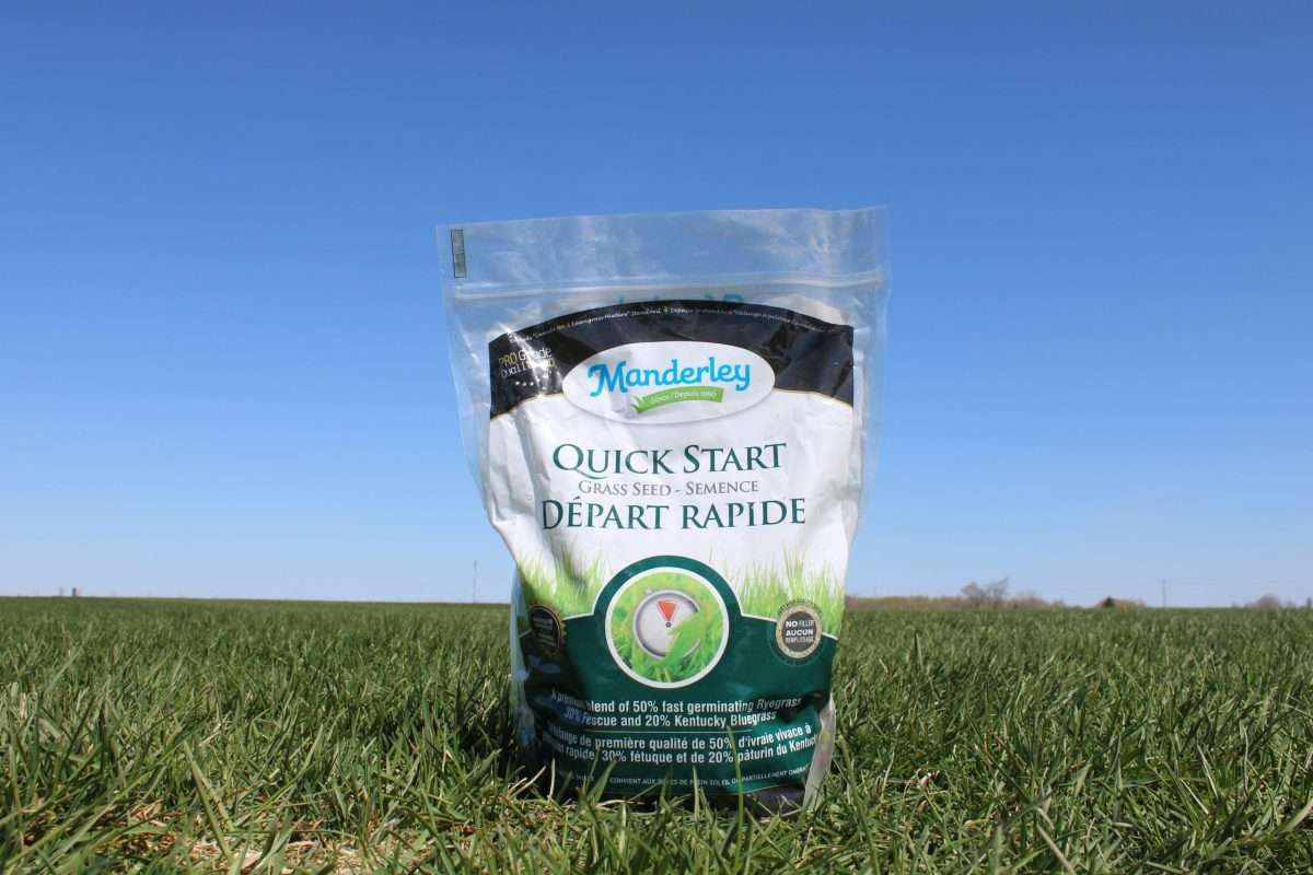 Manderley Quick Start Grass Seed