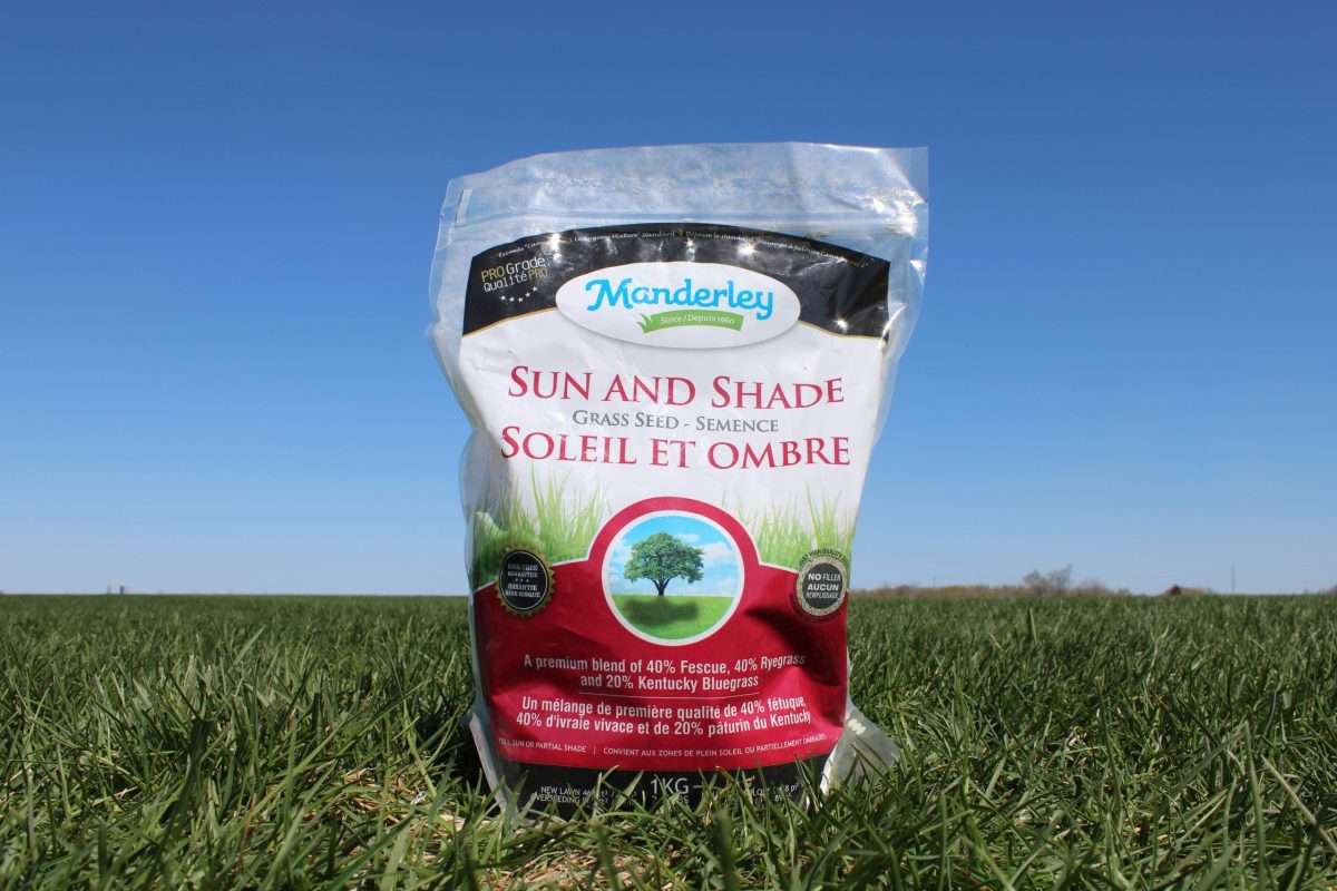 Manderley Sun and Shade Grass Seed