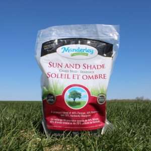 Manderley Sun and Shade Grass Seed