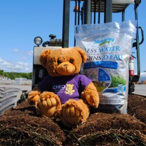 Seed (1KG)-LW Low Maintenance Grass Seed (CHEO)